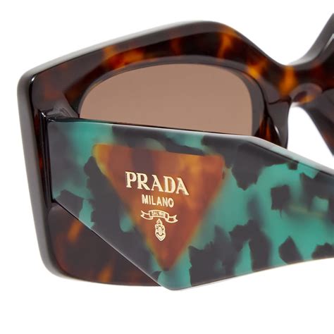 prada sunglasses green tortoiseshell|prada blue tortoise shell sunglasses.